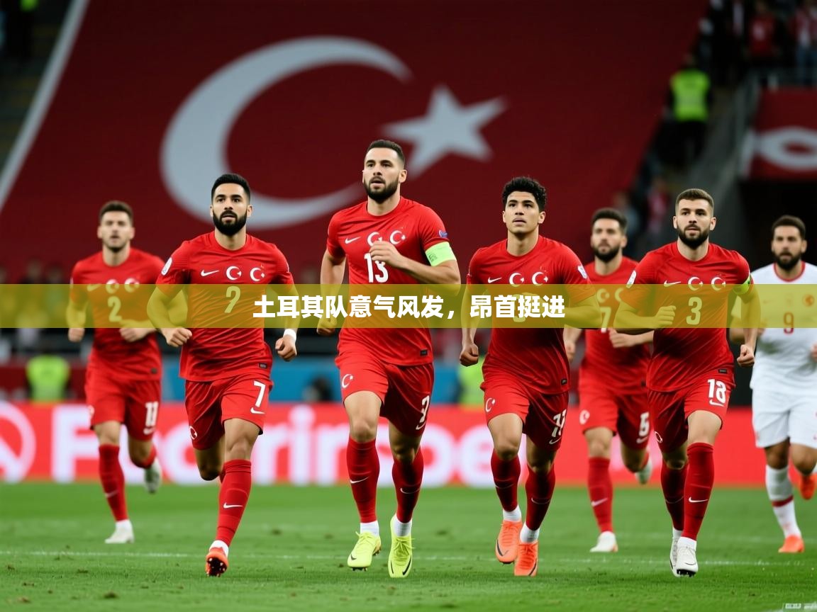 2025 百家乐模拟器土耳其队意气风发，昂首挺进  第1张